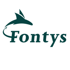 Logo Fontys