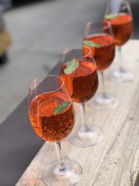 InBloom Coaching sluit zich aan bij Gingermood