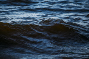 Bloomblog #3: Rolling in the deep